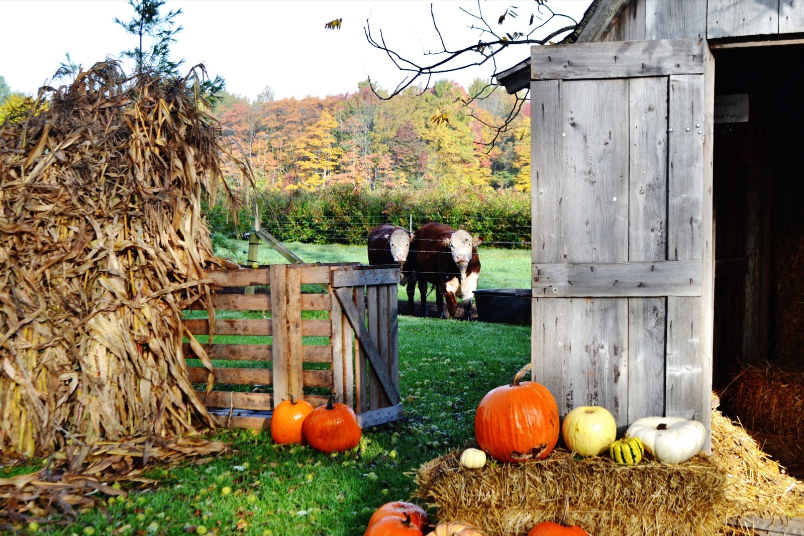 What It Takes To Start and Grow a Farm