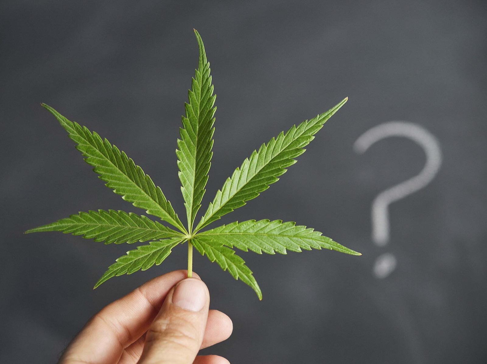 Is Cannabis Helpful for Erectile Dysfunction?