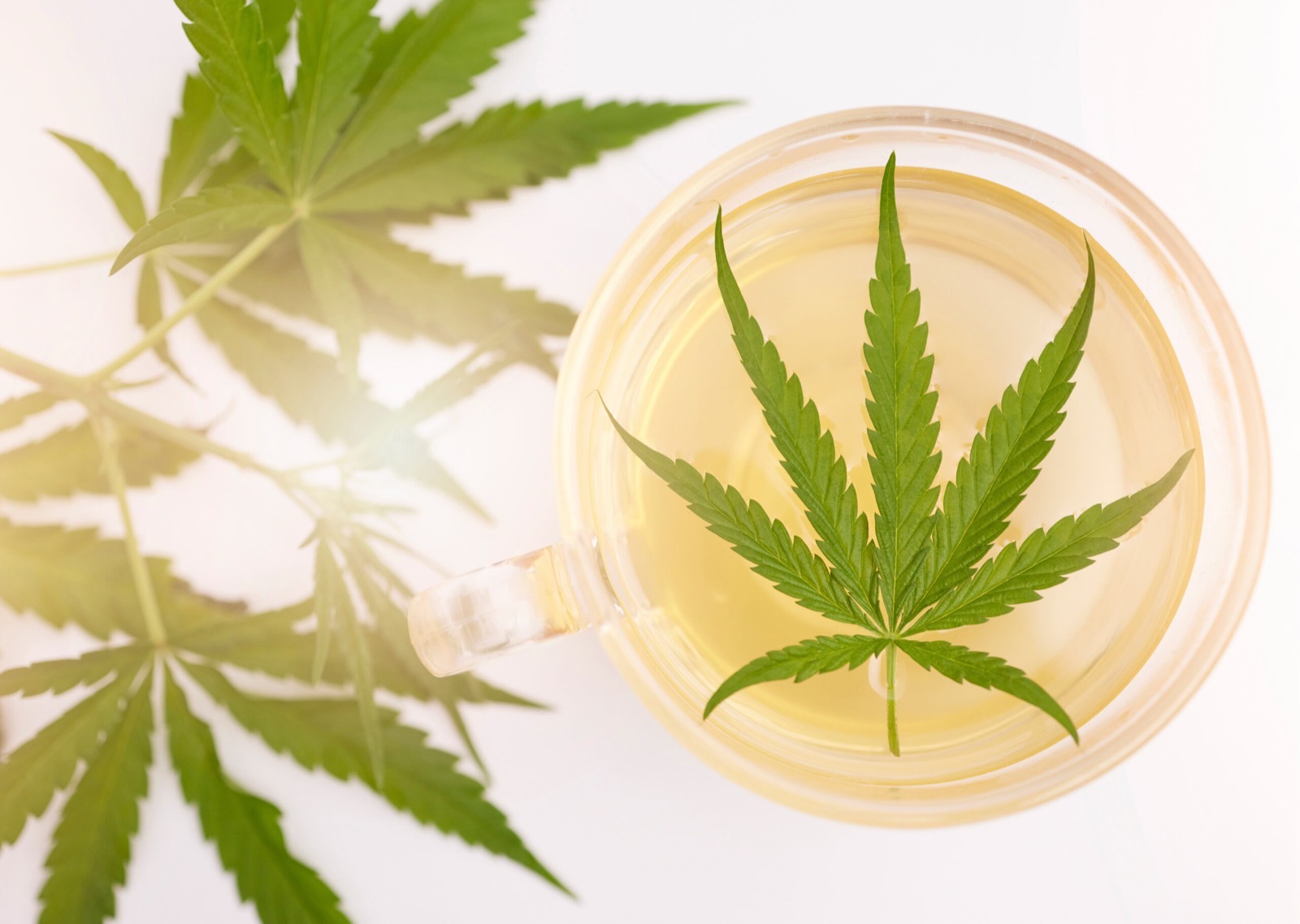 How Can CBD Help Pain?