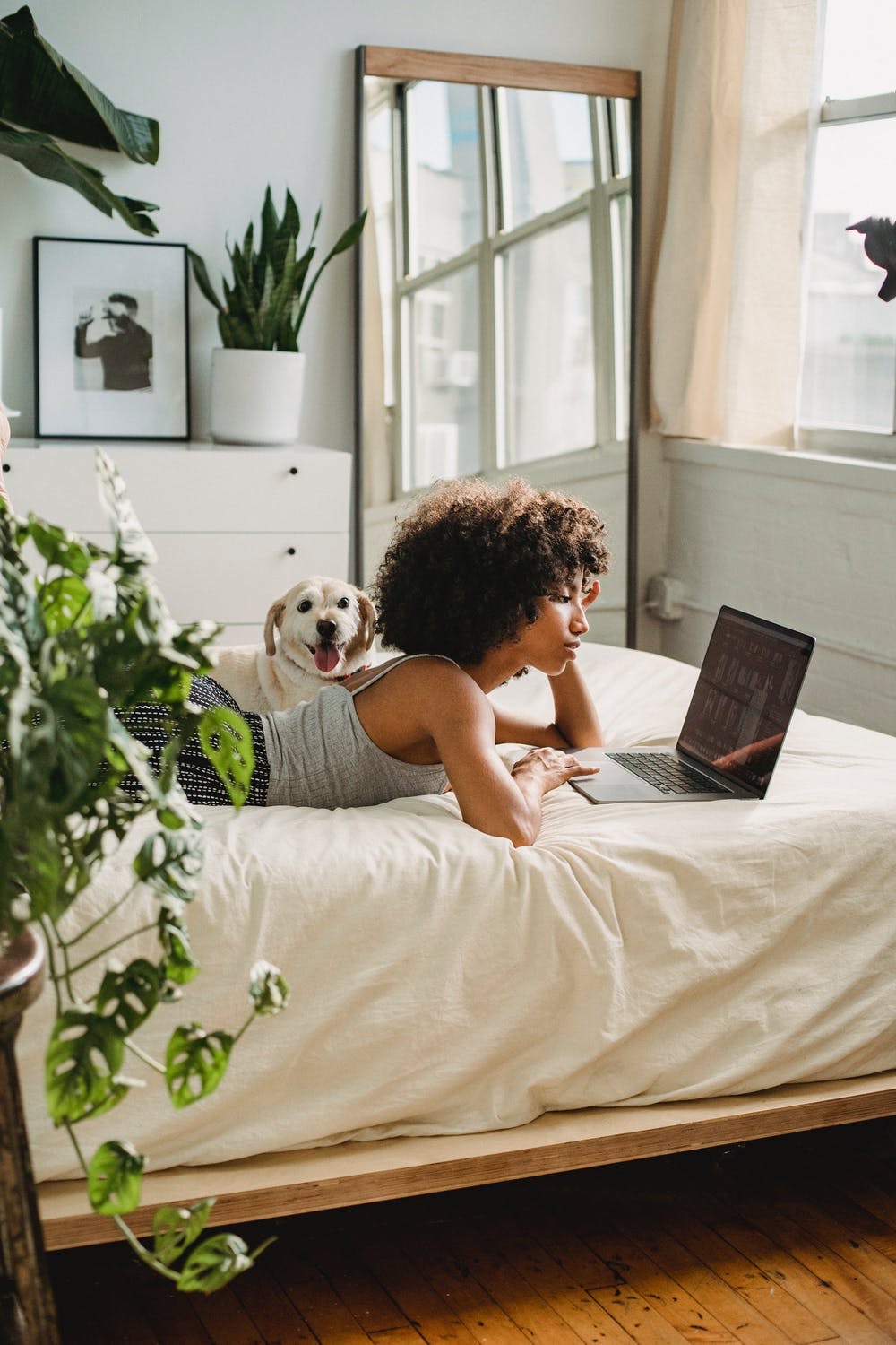 Home Furnishings That Will Make You and Your Pet Happy