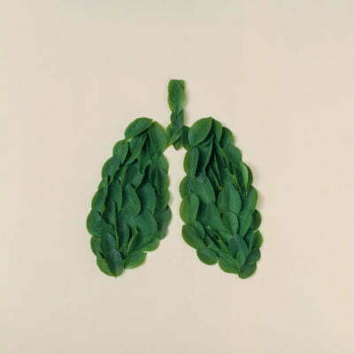 What Will I Learn in a Respiratory Therapy Program?